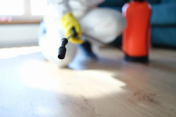 Best Forensic Mold Investigation  in West Park, FL
