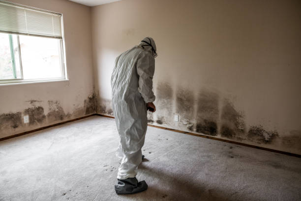Best Commercial Mold Inspection  in West Park, FL